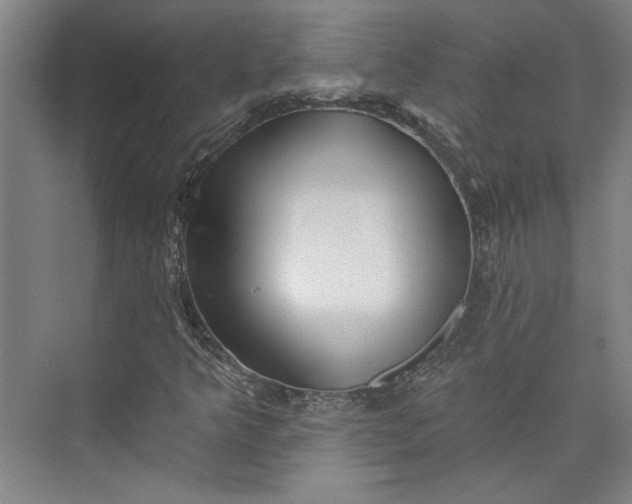 X0000072921349200608041139
