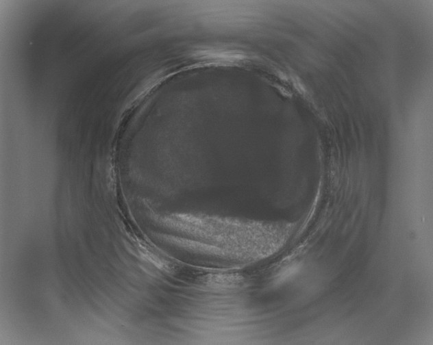 X0000072921354200608041139