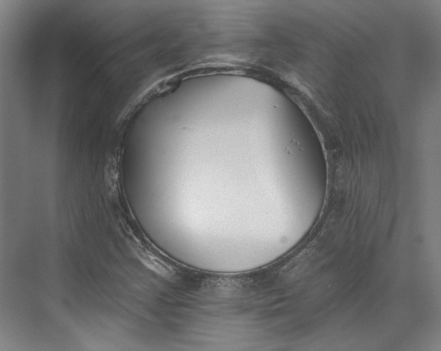 X0000072921355200608041139