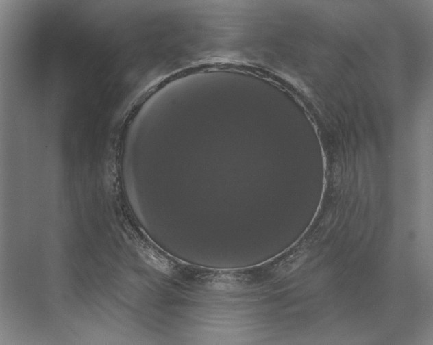 X0000072921359200608041139