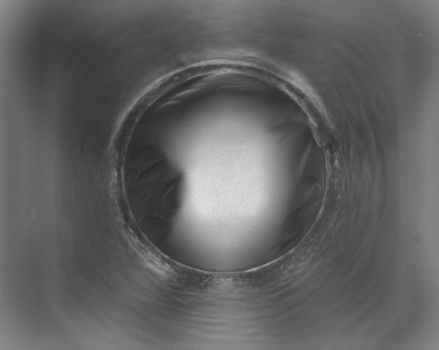 X0000072921360200608041139