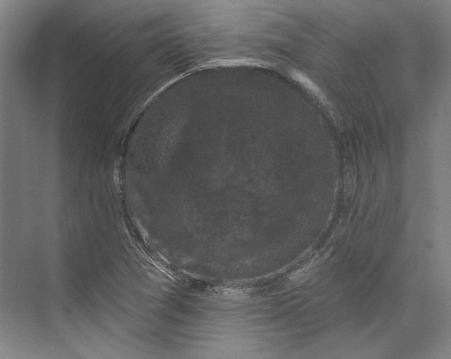 X0000072921361200608041139