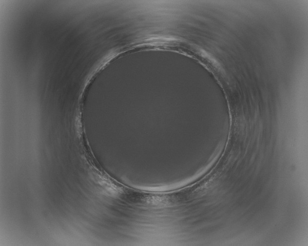 X0000072921362200608041139