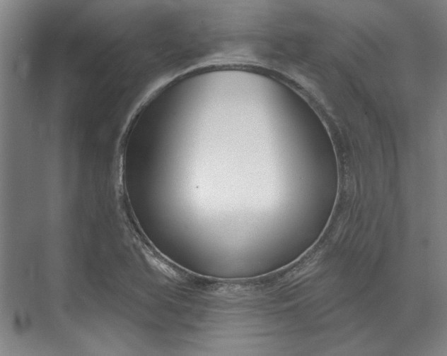 X0000072921366200608041139