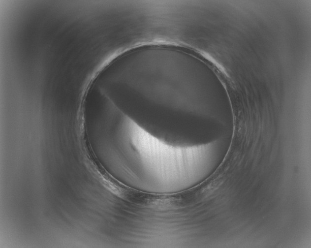 X0000072921367200608041139