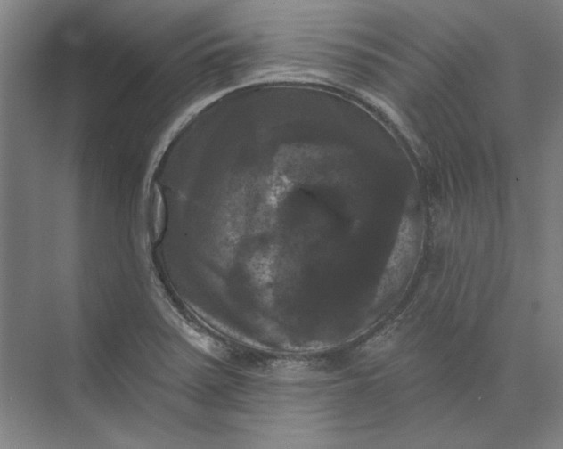 X0000072921371200608041139