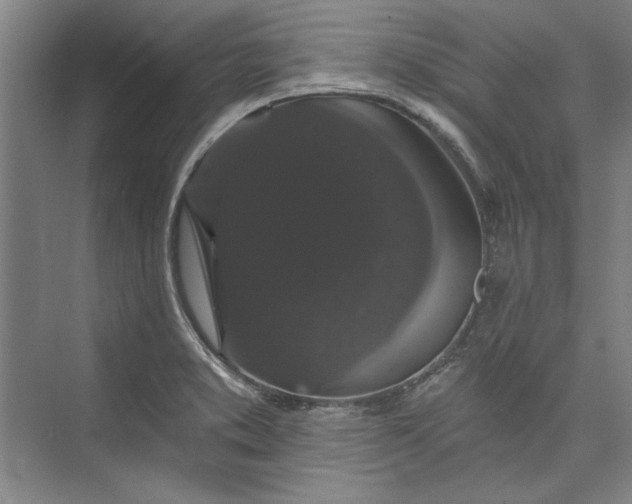X0000072921373200608041139