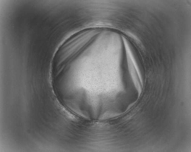 X0000072921374200608041139