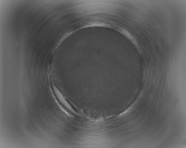 X0000072921377200608041139