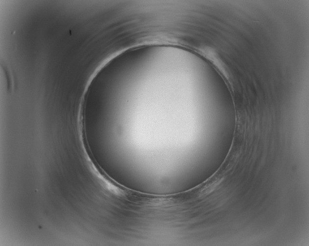 X0000072921387200608041139