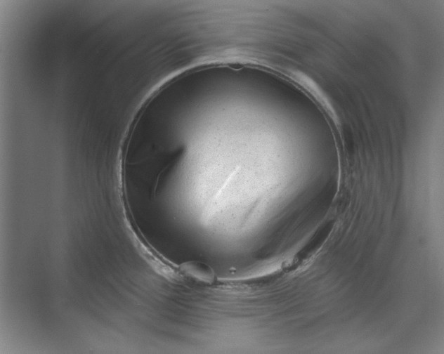 X0000072921388200608041139