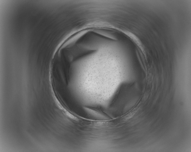 X0000072921390200608041139