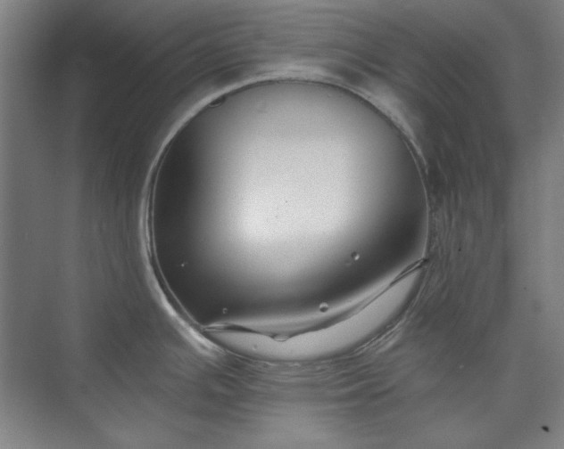 X0000072921391200608041139
