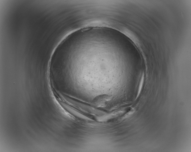 X0000072921392200608041139