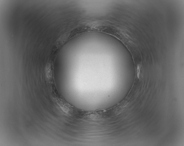 X0000072921395200608041138