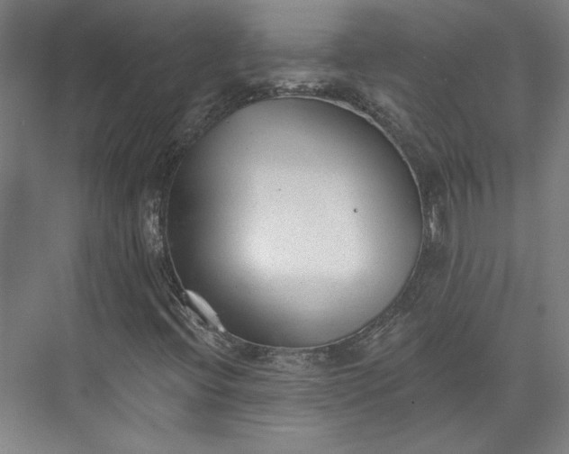 X0000072921396200608041138
