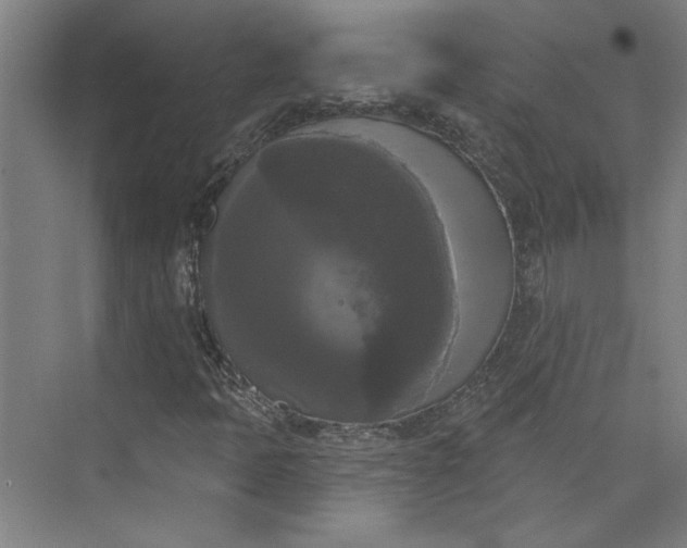 X0000072921397200608041138