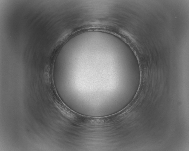 X0000072921403200608041138