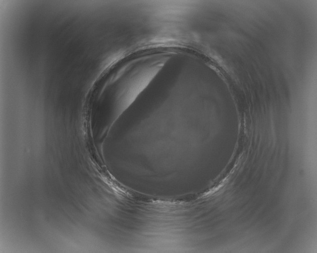 X0000072921405200608041138