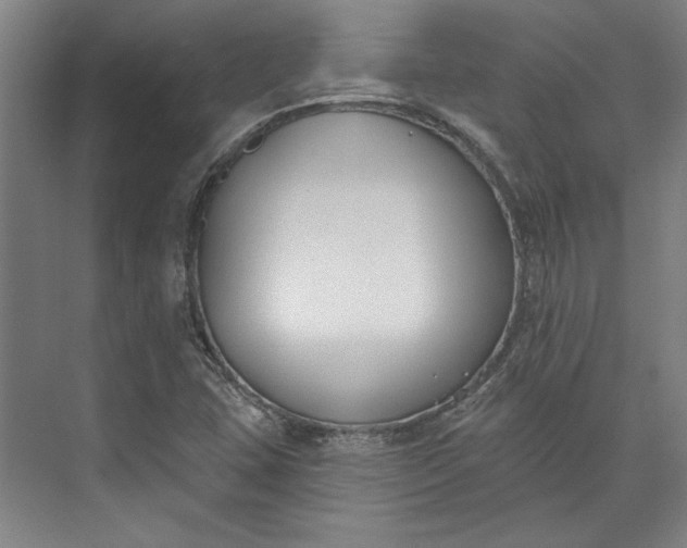 X0000072921407200608041138