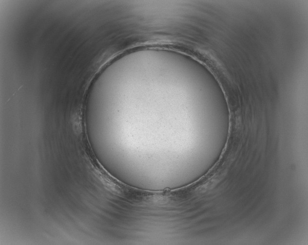 X0000072921409200608041138