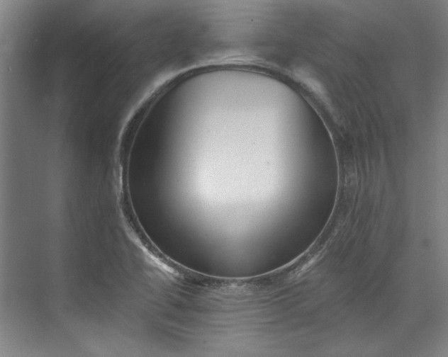 X0000072921414200608041138