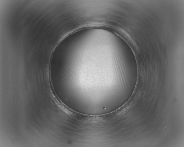 X0000072921417200608041138