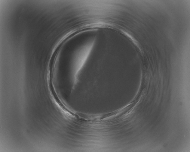 X0000072921418200608041138