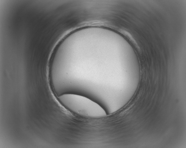 X0000072921424200608041138