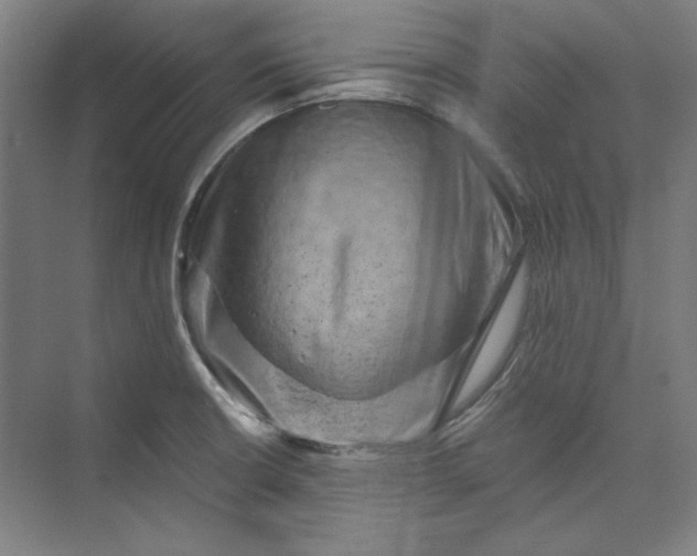 X0000072921426200608041138