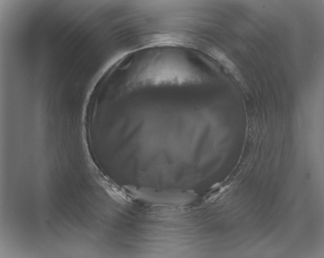 X0000072921427200608041138