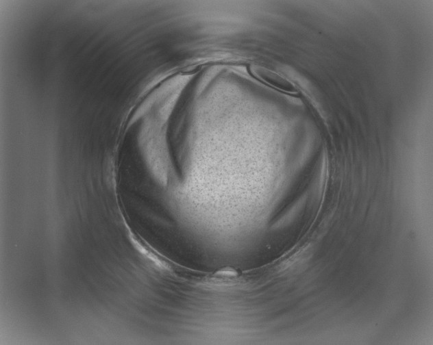 X0000072921433200608041138