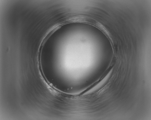 X0000072921434200608041138