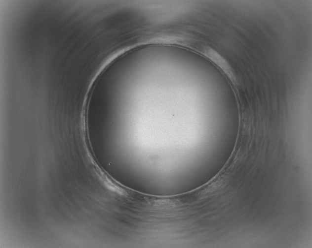X0000072921436200608041139