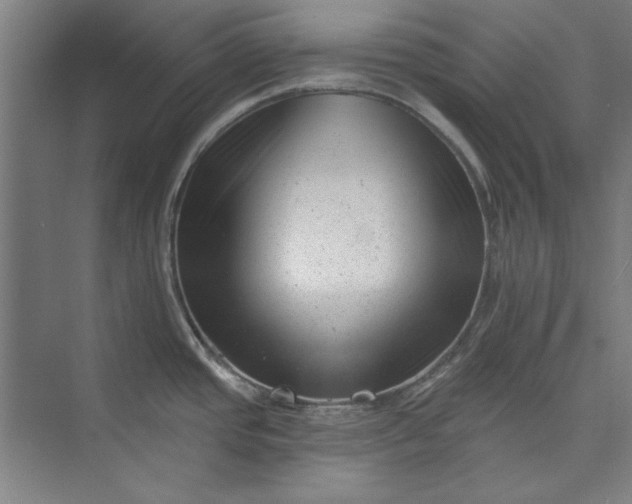 X0000072921437200608041139