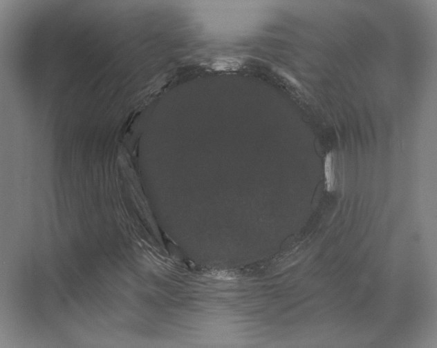 X0000072921443200608041138