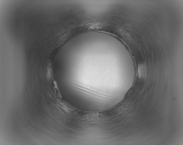 X0000072921444200608041138