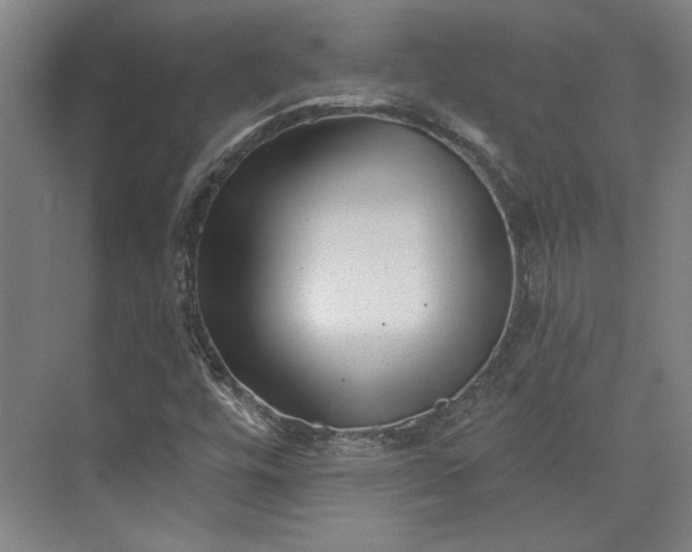 X0000072921448200608041138