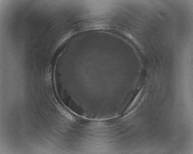 X0000072921450200608041138