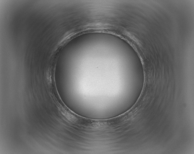 X0000072921451200608041138
