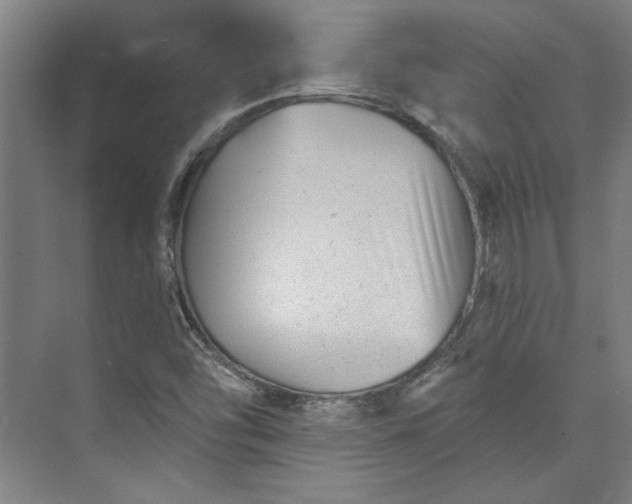 X0000072921454200608041138