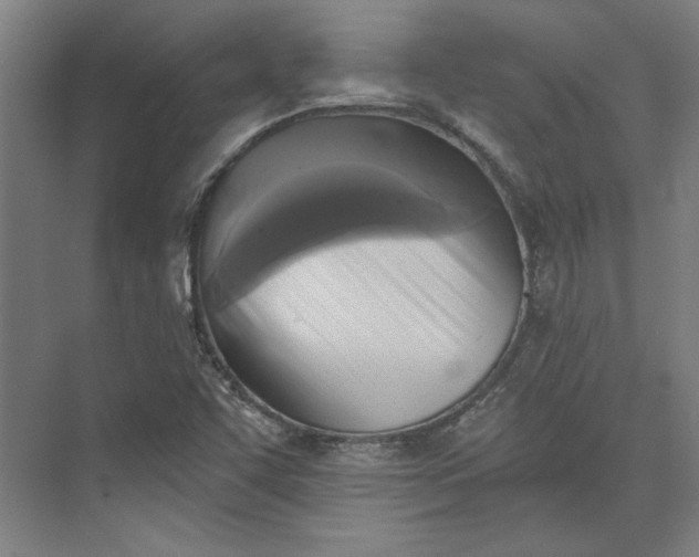X0000072921455200608041138