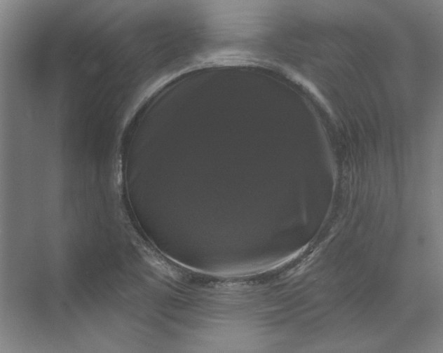 X0000072921461200608041137