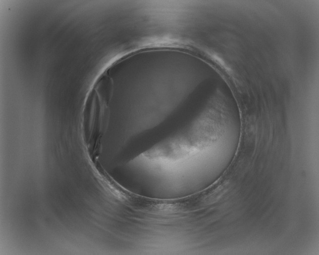 X0000072921463200608041137