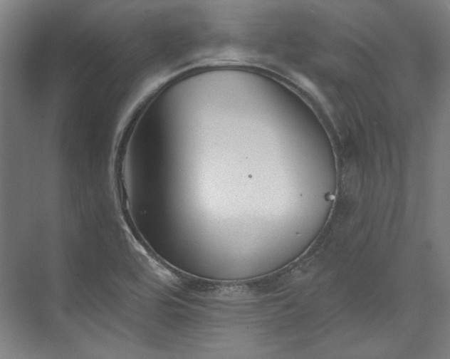 X0000072921464200608041137
