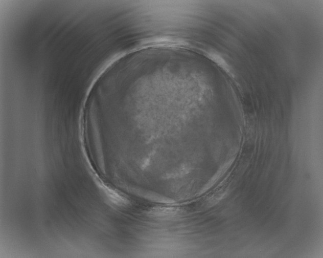 X0000072921474200608041137