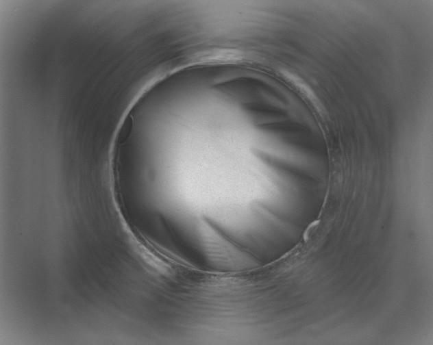 X0000072921475200608041137