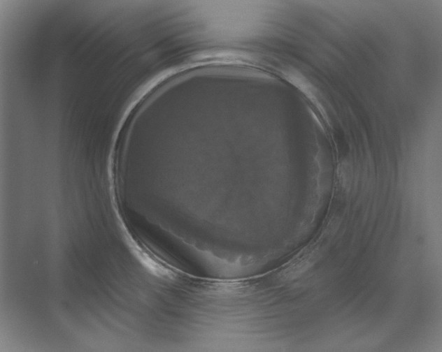 X0000072921482200608041137