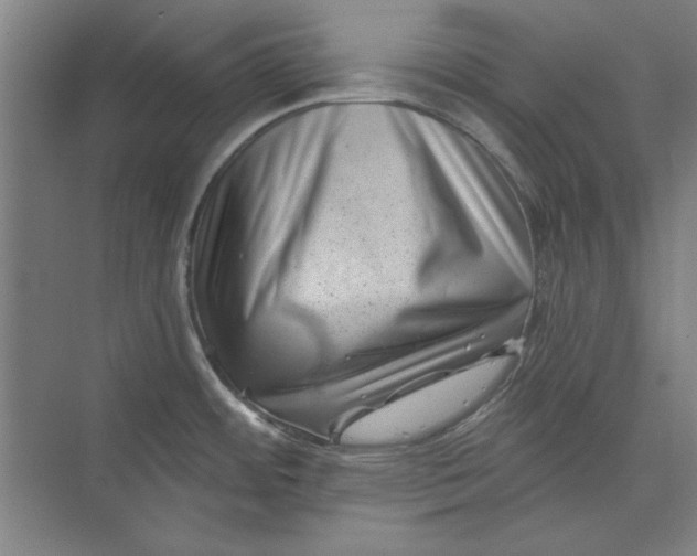 X0000072921484200608041137