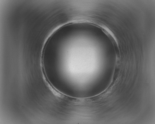 X0000072921485200608041137